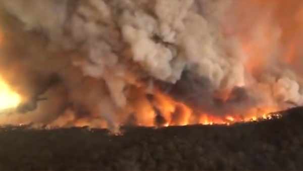 பார்முலா ஒன் சாம்பியன் உதவி 