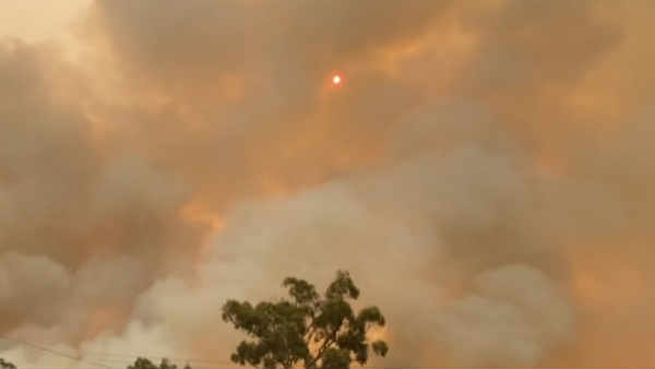 போட்டிகளை நடத்த திட்டம் 