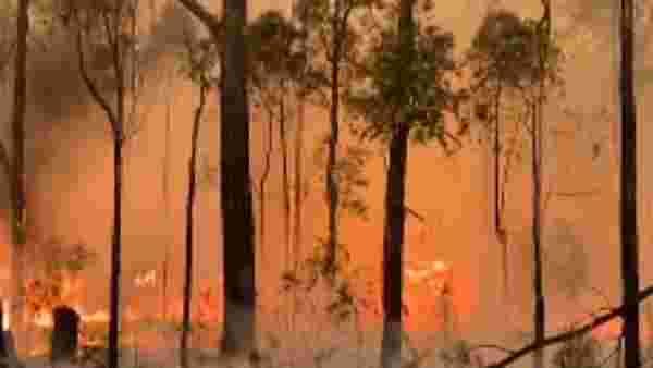 புகைமண்டலமாக காணப்படும் மெல்போர்ன் 