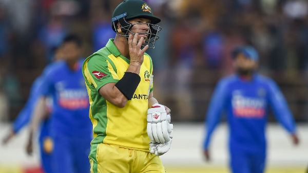 ஸ்டார்க் டக் அவுட்