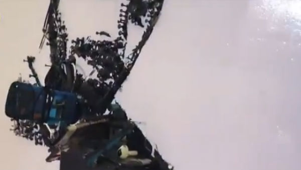 செல்போன்களால் கோலி ஓவியம் 