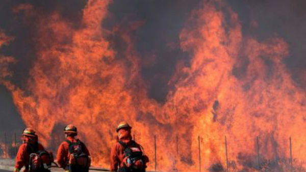 காட்டுத்தீ காட்டுத்தீ