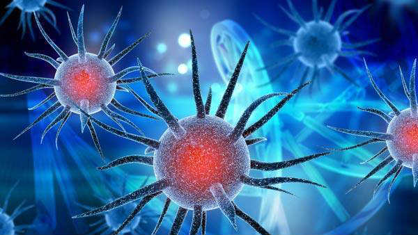 14 நாள் தனித்திருத்தலில் ஹசன் 