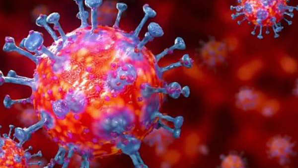 கொரோனா பாதிப்பு கொரோனா பாதிப்பு