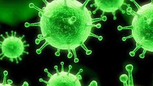 கொரோனா விளம்பரம் கொரோனா விளம்பரம்