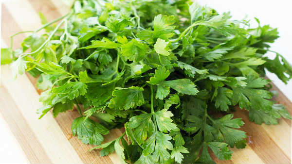 கொத்தமல்லி 