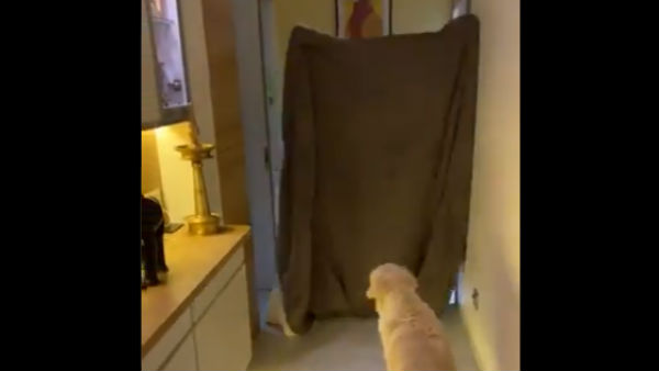 ஷிரேயாஸ் அய்யர் வீட்டு பொழுதுபோக்கு 