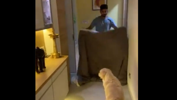 நாயுடன் மாஜிக் விளையாட்டு 