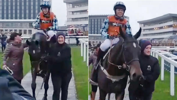 மர்பியும் 50 குதிரைகளும் 