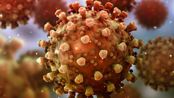 கொரோனா வைரஸ் பாதிப்பு
