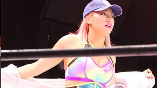 ஜப்பான் புரோ ரெஸ்லிங்