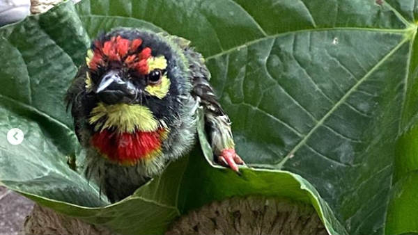 மீண்டும் பார்ப்பேன்