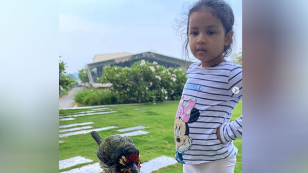 பறந்து சென்றது