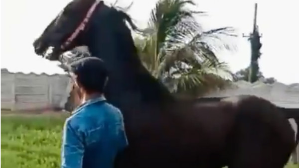 வாக்கிங் சென்ற ஜடேஜா