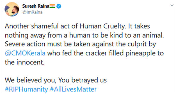 கிரிக்கெட் பிரபலங்கள் கோரிக்கை 