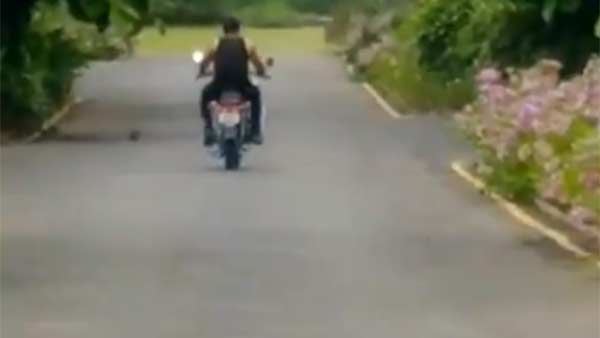 முன்னாள், இந்நாள் வீரர்கள் வாழ்த்து 