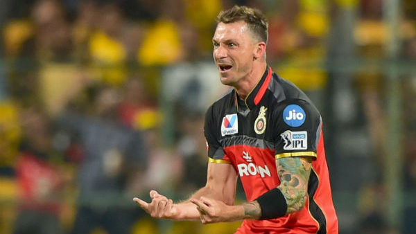 டேல் ஸ்டெய்ன்