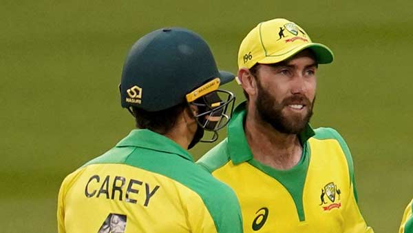 ஆமை வேகம்