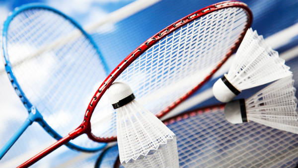 இறக்குமதிக்கு அரசு தடை 