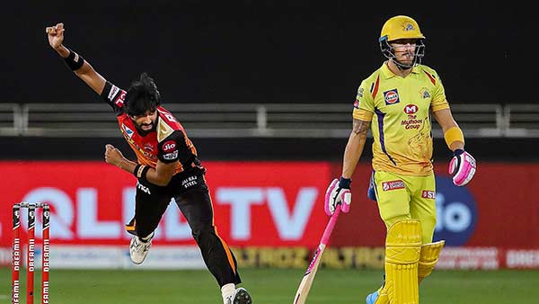 விக்கெட்