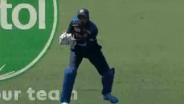 கீப்பிங் கீப்பிங்