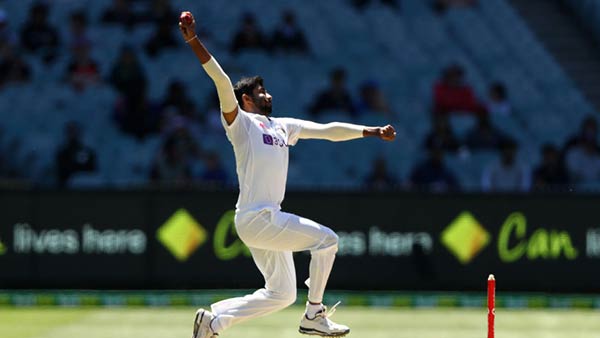 விக்கெட் 