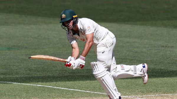 விக்கெட் வேண்டும்