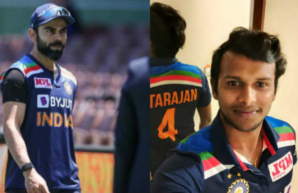 விக்கெட் 