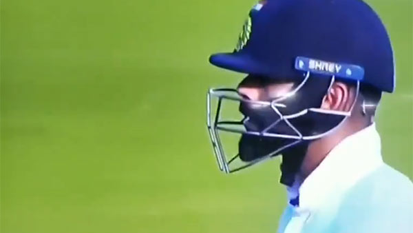 விக்கெட் 