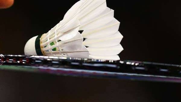 பேட்மிண்டன் தொடர் 