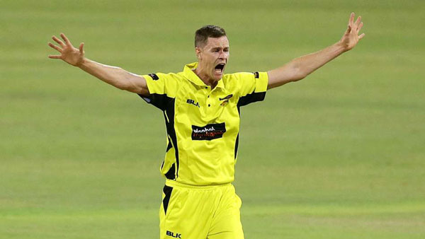 பெரிய கை 