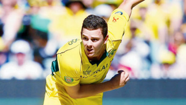  ஹேசல் வுட் விளக்கம் 