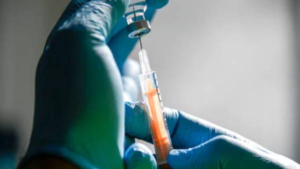  பயோ பபுள் 