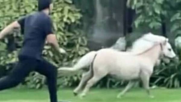  ஜடேஜாவுக்கும் விருப்பம் 