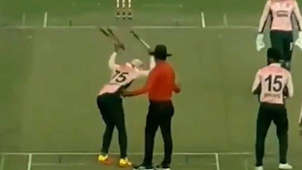 பறந்த ஸ்டெம்புகள் 