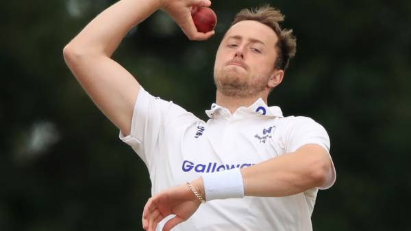 விக்கெட்