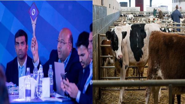 கால்நடைகள் போல் ஏலம்