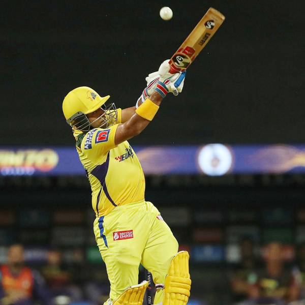 மாஸ்டர் ஸ்டோர்க்