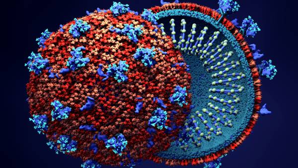 கொரோனா கொரோனா