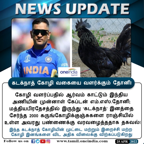 கோழியின் குணம்