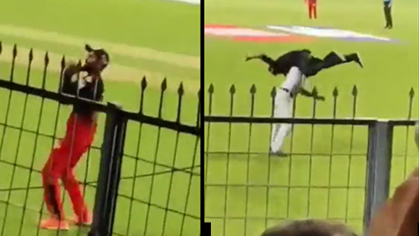 போலீசாரின் நடவடிக்கை 