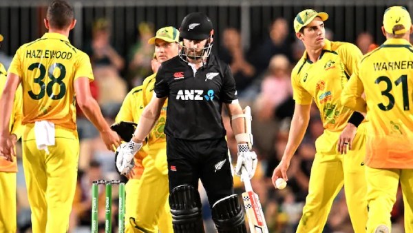 ஆமை வேகம்