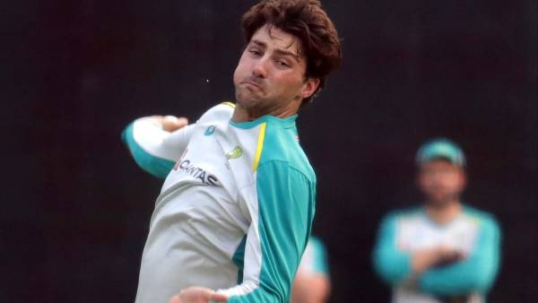 டிம் டேவிட்