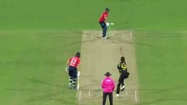 ஸ்டார்க் எச்சரிக்கை