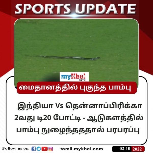 மைதானத்தில் பாம்பு