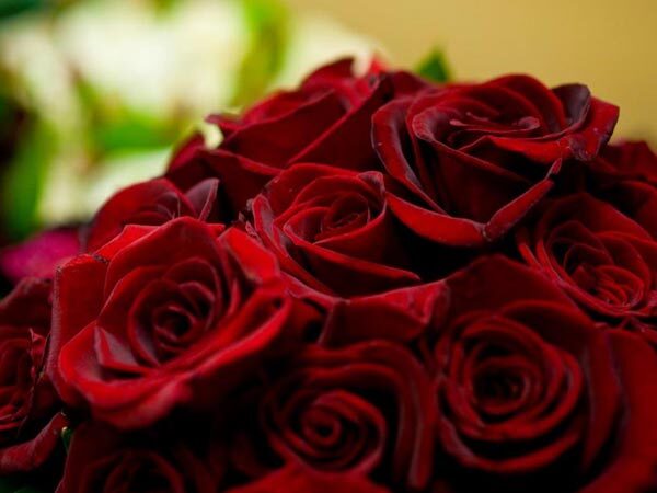 இளைஞரின் செயல் 