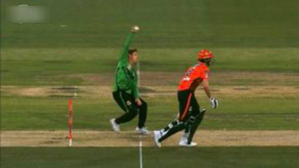 ஆடம் சாம்பா விக்கெட்