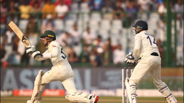 வலை விரித்தார்கள்