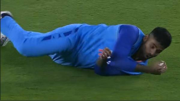 சரிந்த நியூசிலாந்து 