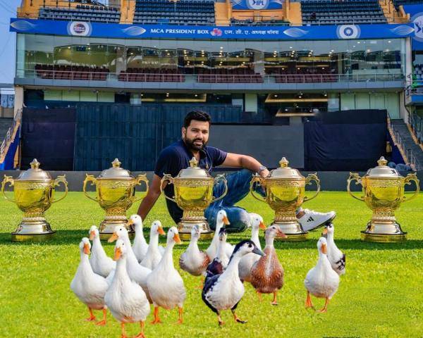 IPL 2023: Stunning Memes from Social Media after CSK beat Mumbai by 6 wickets at Chepauk 